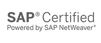 SAP-iDAIS